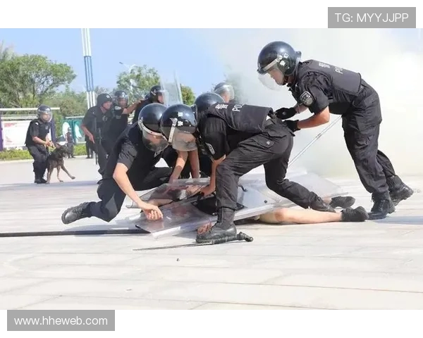 南京滑板队整体压制打法深度分析与战术解读